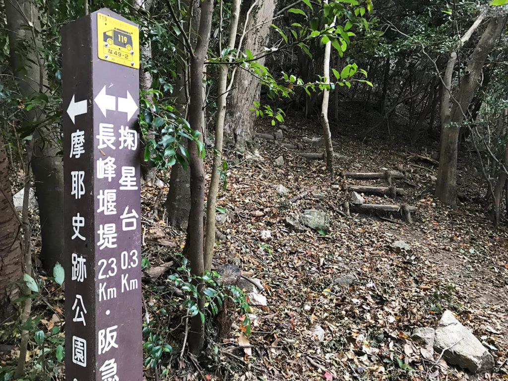 最後けっこう急だった