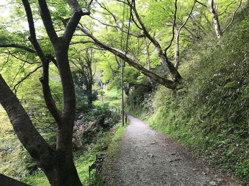誘惑に負けずに徒歩で行く