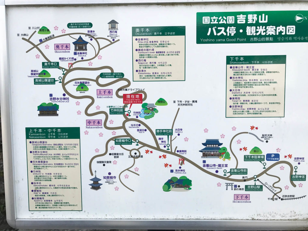 コース中盤まで来た感じ