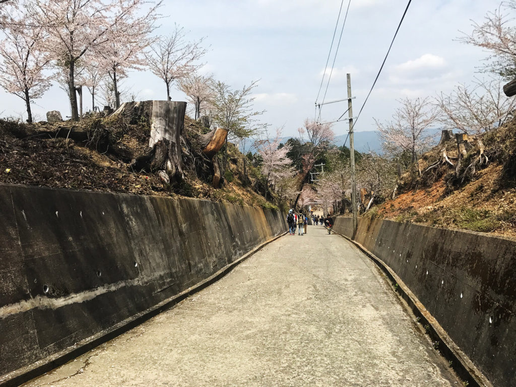 10分くらいは登る