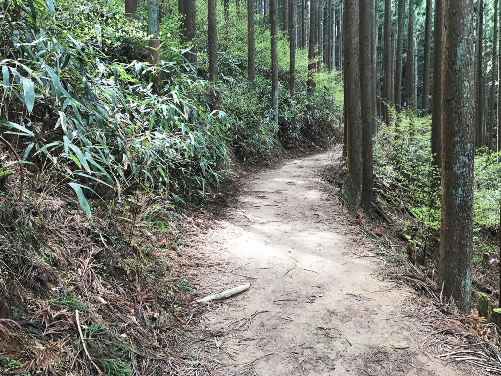 硬い路面からの開放