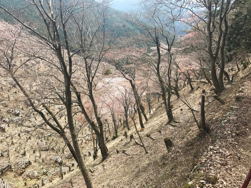 下り途中