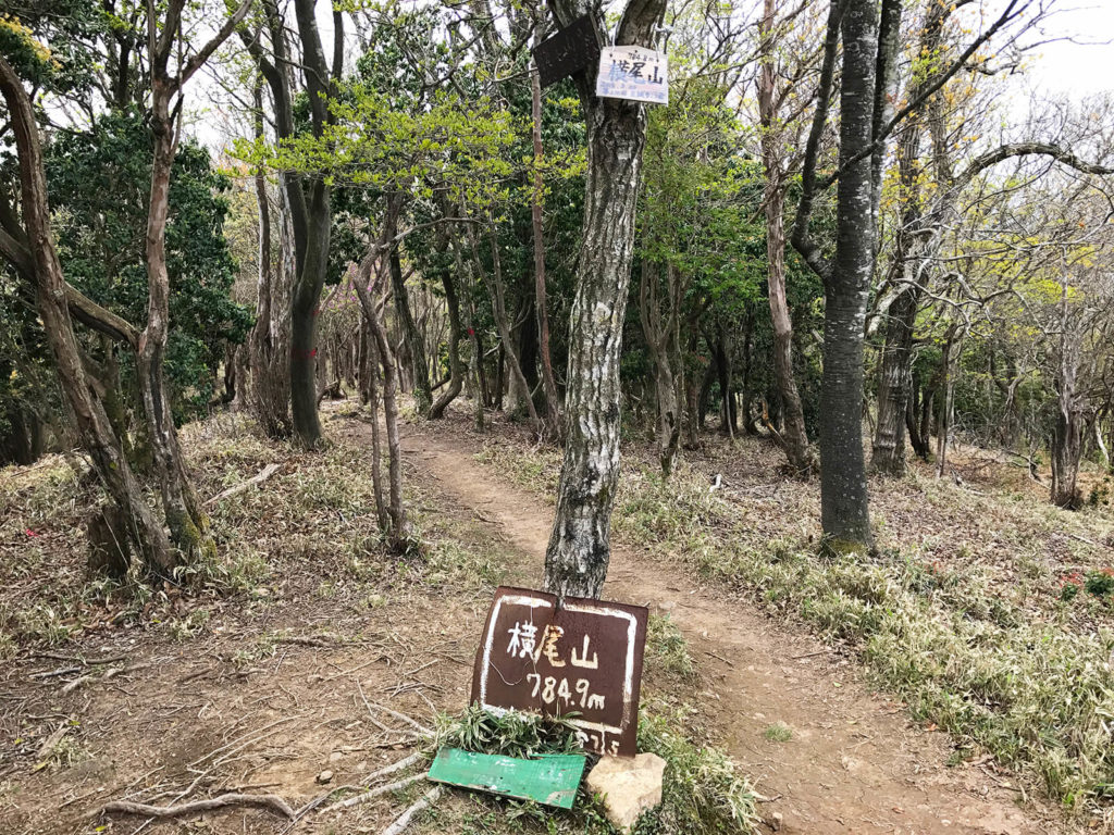 平坦が多かったのでちょっと走ったりした